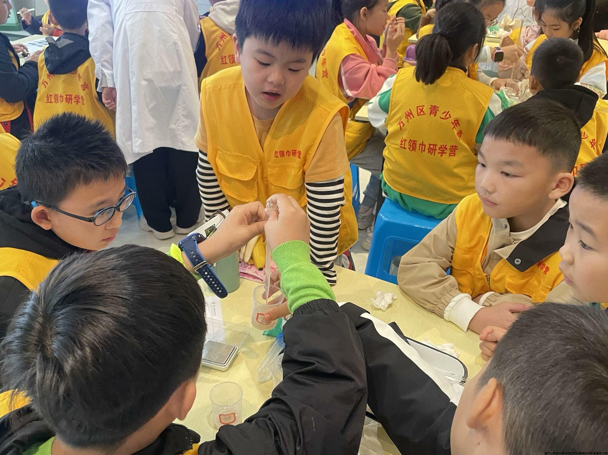 红领巾研学.jpg