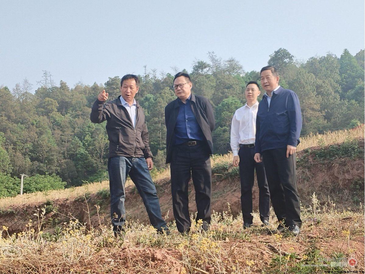 乡村振兴.jpg 乡村振兴.jpg