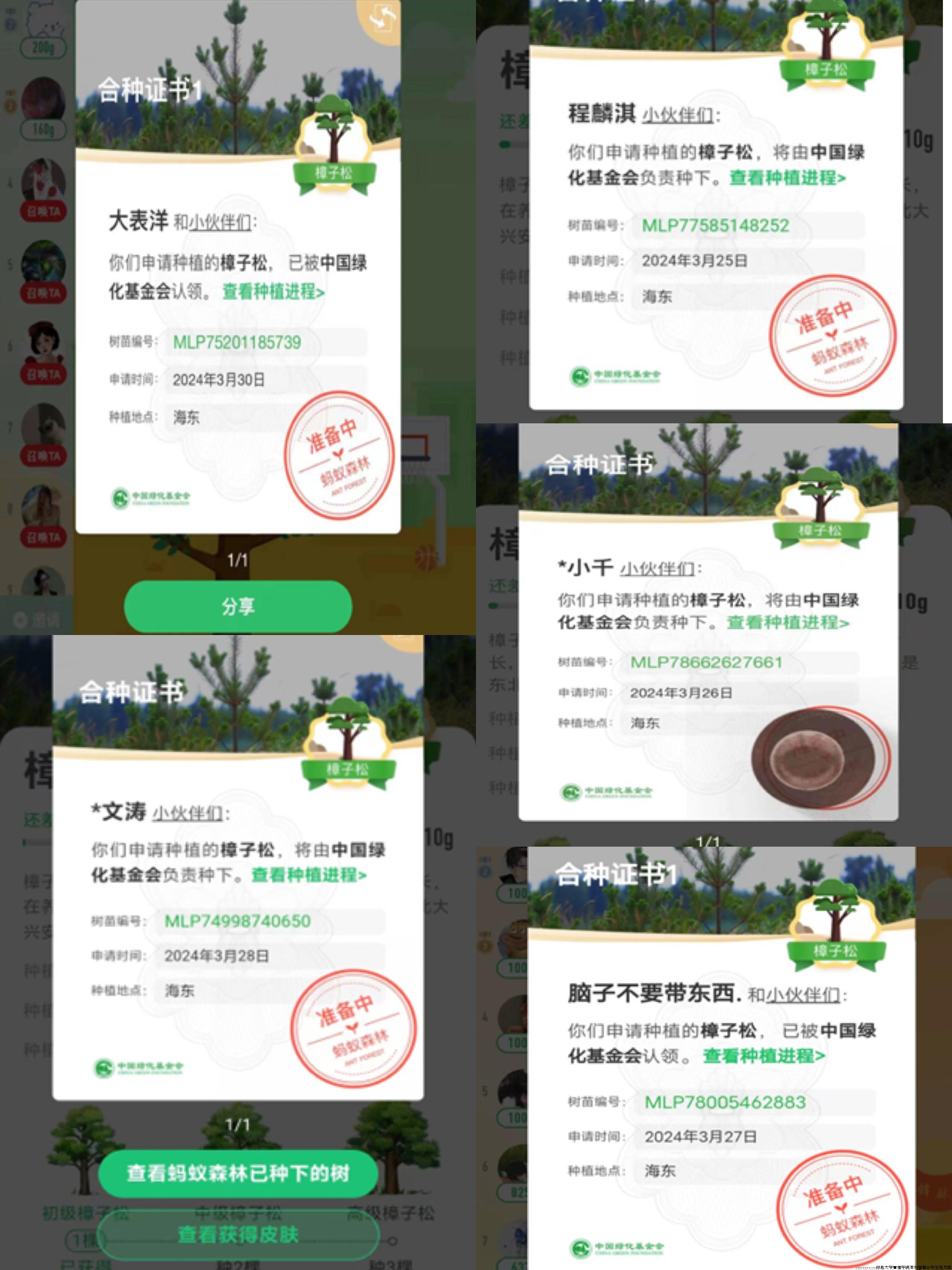 合种证书.jpg 合种证书.jpg