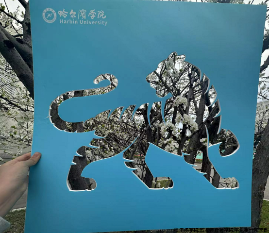 微信图片_20240508144339.png 微信图片_20240508144339.png