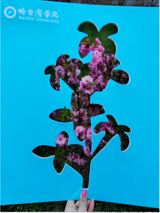 微信图片_20240508144349.png 微信图片_20240508144349.png