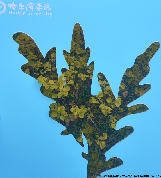 微信图片_20240508144406.png 微信图片_20240508144406.png