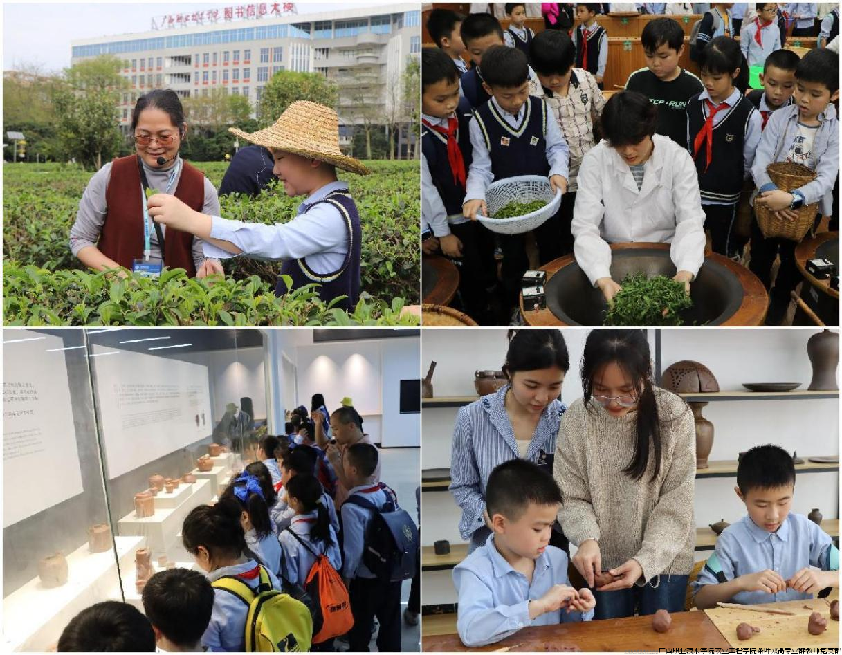 图片1 南宁市滨湖路小学师生体验采茶、制茶、陶艺等实践课程.png
