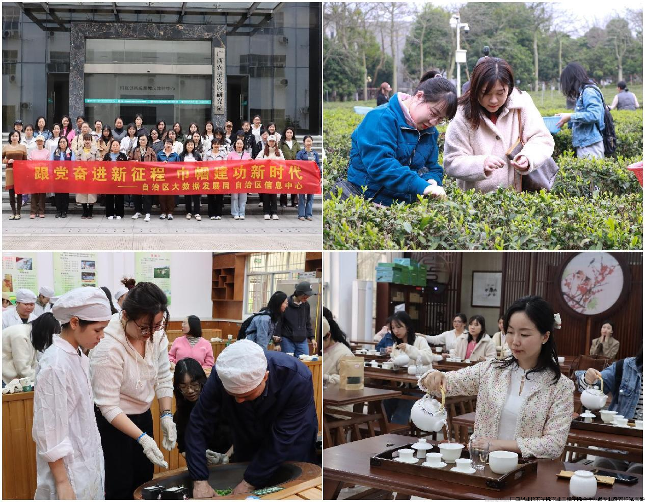 图片4 自治区大数据发展局 自治区信息中心研学人员体验采茶、制茶、茶艺等课程.png