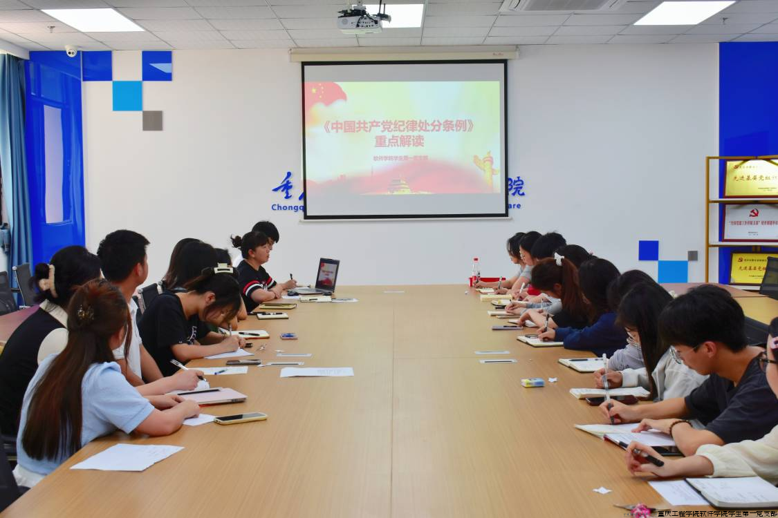 支部书记讲党纪专题党课（1）.png