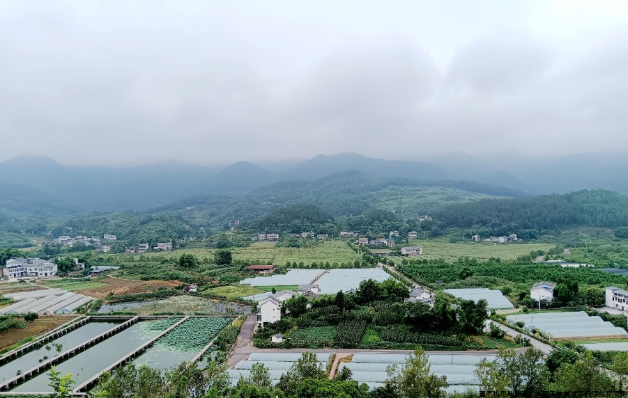 重庆市璧山区壹森缘种植场.png