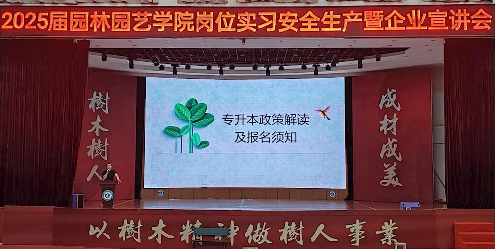 c960dfb1afa7422a801793d837b618d0.Jpeg c960dfb1afa7422a801793d837b618d0.Jpeg