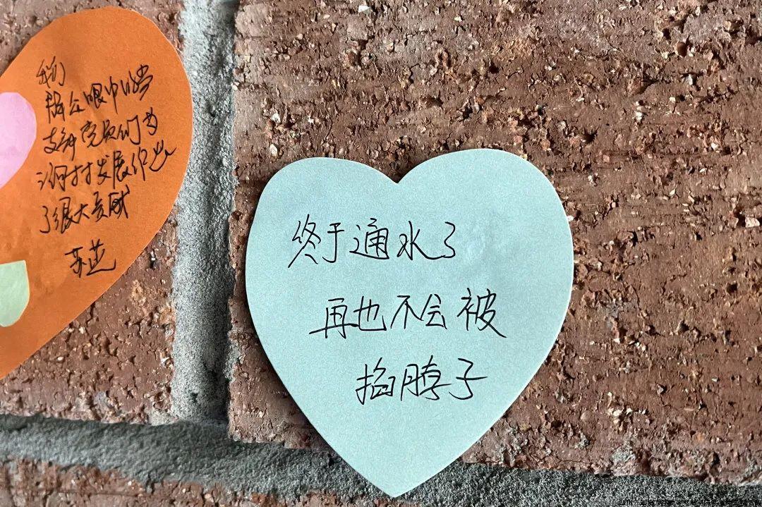 杨4.jpg