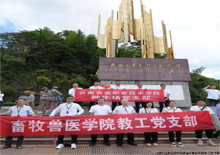 图像(2.png 图像(2.png