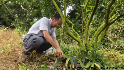 图片3.png 图片3.png