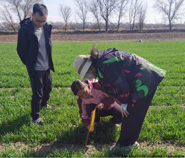 图片2.png 图片2.png