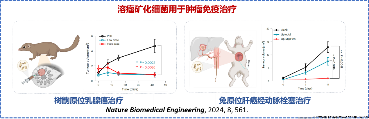 ff896ccdce7a8366ccd2e646decc27b2.png