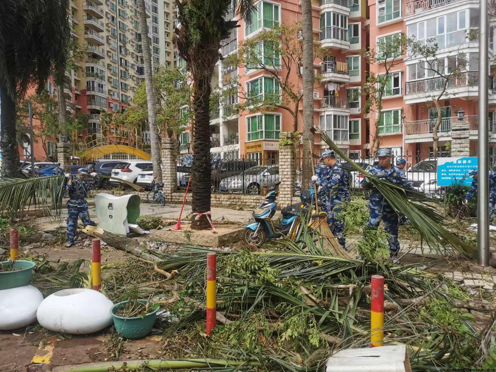 经管学院志愿者们在清理金牛岭公园北门路段树枝.jpg