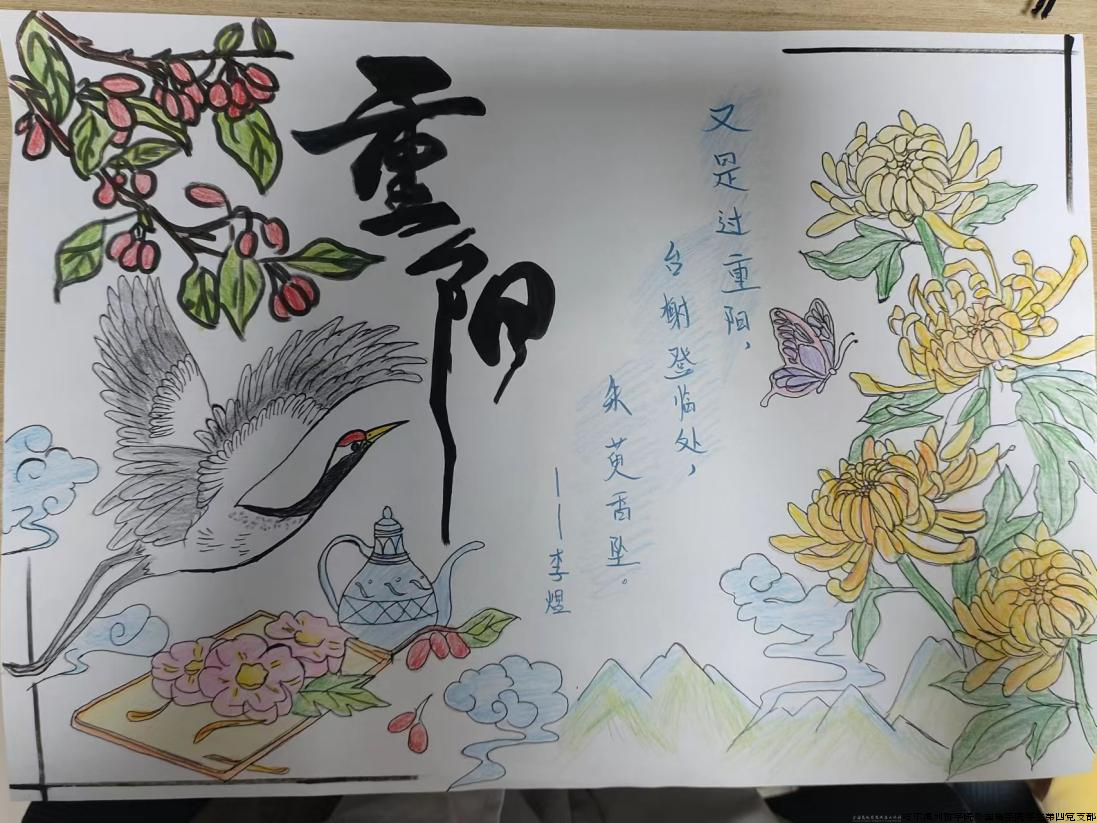 图片28.png