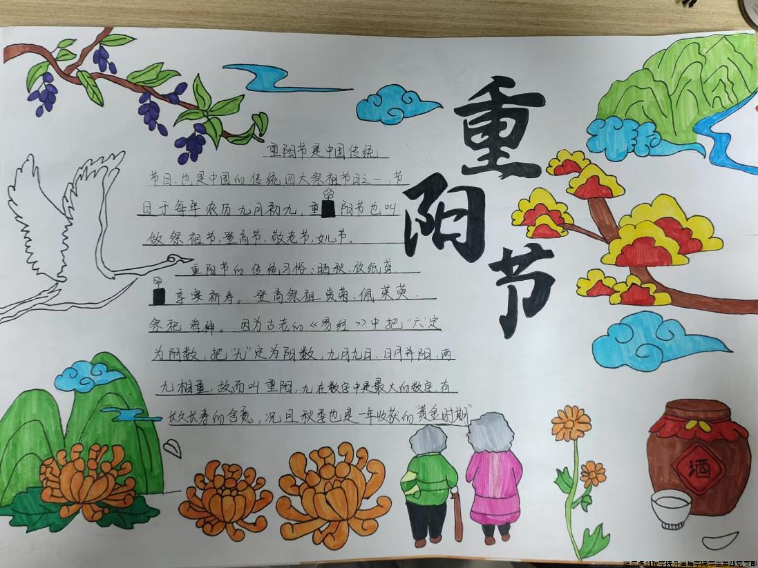 图片29.png